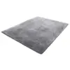 Gray Color