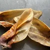 same as image