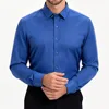 Azul real