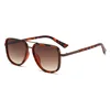 C6: Tortoise/ Brown Gradient