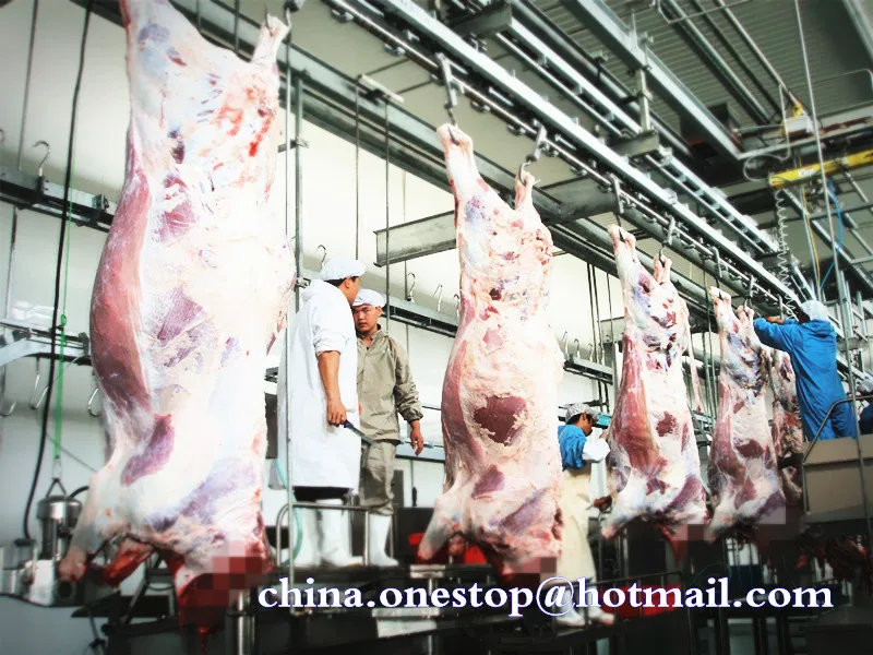 Total solution cattle slaughterhouse solutions - humane and halal processing