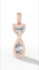 Rose d'or
