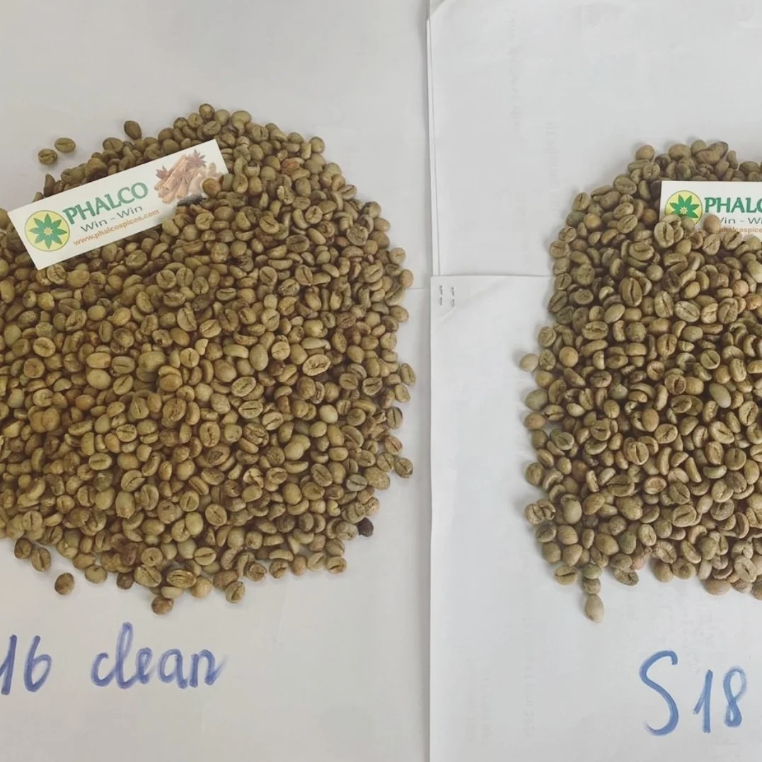 Coffee Green Beans 100 Robusta Sr13/sr16/sr18 0084339966582 Buy