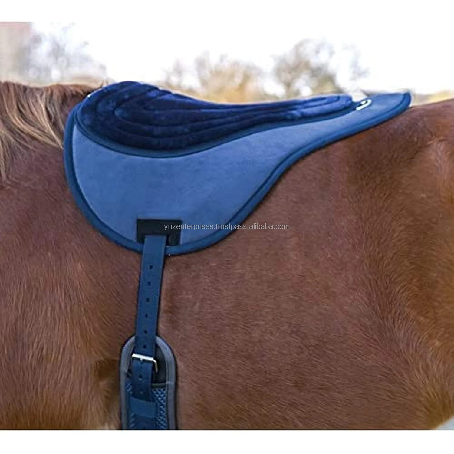 Cotton Bareback Pad With Stirrups And Girth Large For Horse Available Multiple Color And Sizes