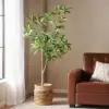 Green Color