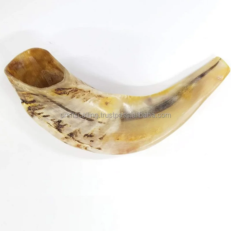 Shofar En Corne De Bélier Naturel Casher | Fabriqué En Israël | Longueur 25-28 Cm | Pour Célébrations Religieuses