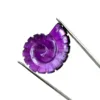 Pourpre
