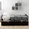 Espresso Color