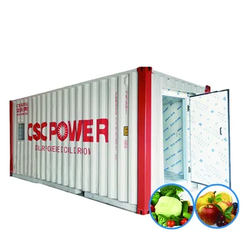 20ft And 40ft Solar Power Container Cold Room For Storage Fish Chicken ...