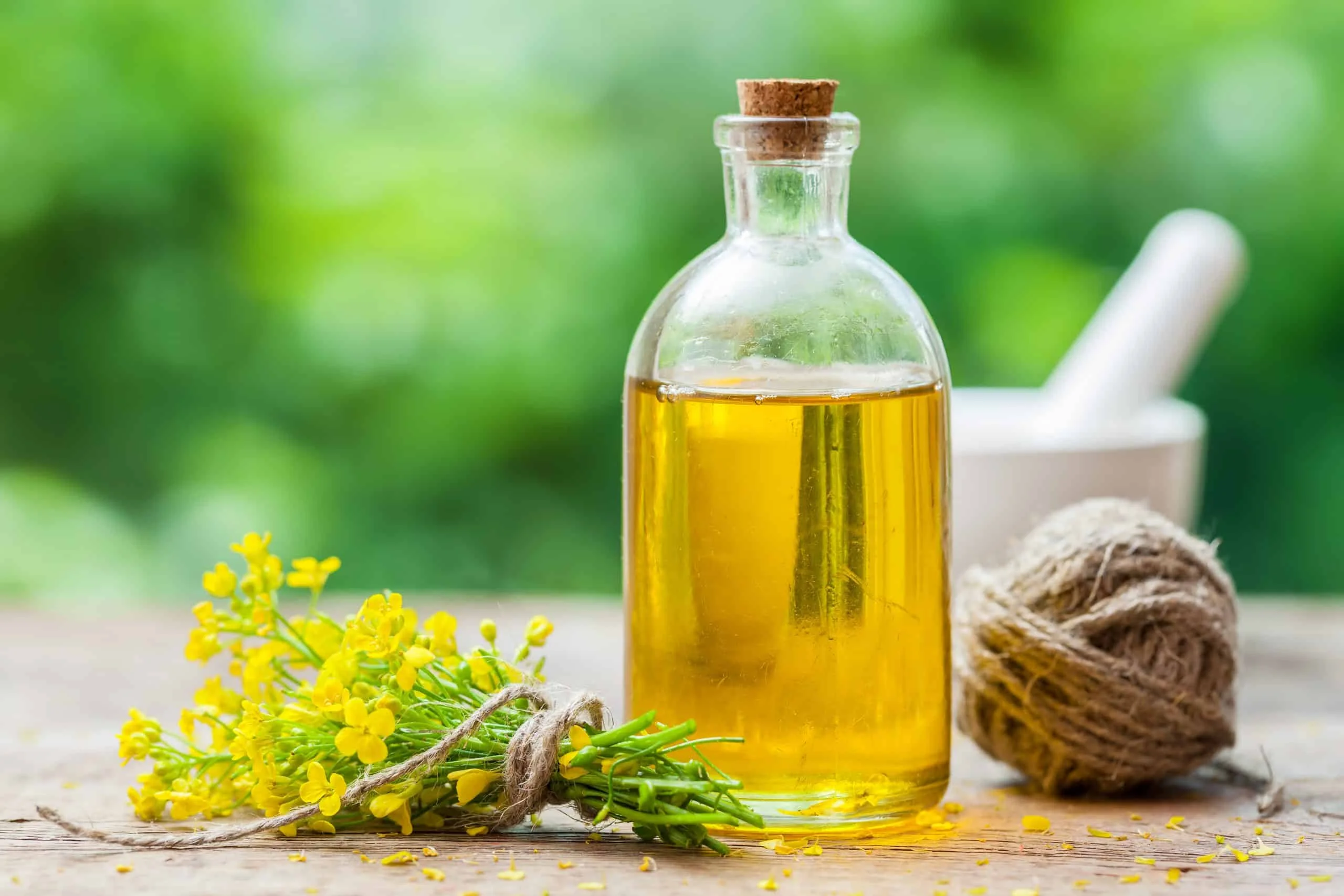 Wholesale Cheap Supplier Hot Selling High Quality 100% Purity Organic ISO Certified Canola Oil Bulk Fast Delivery Buy Now! Top