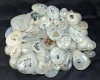 White, Sold by Weight(grams), 15to16pcs per 100g