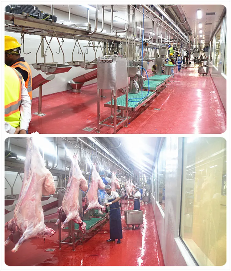 Turnkey integrated sheep slaughtering equipment for mutton and mutton production
