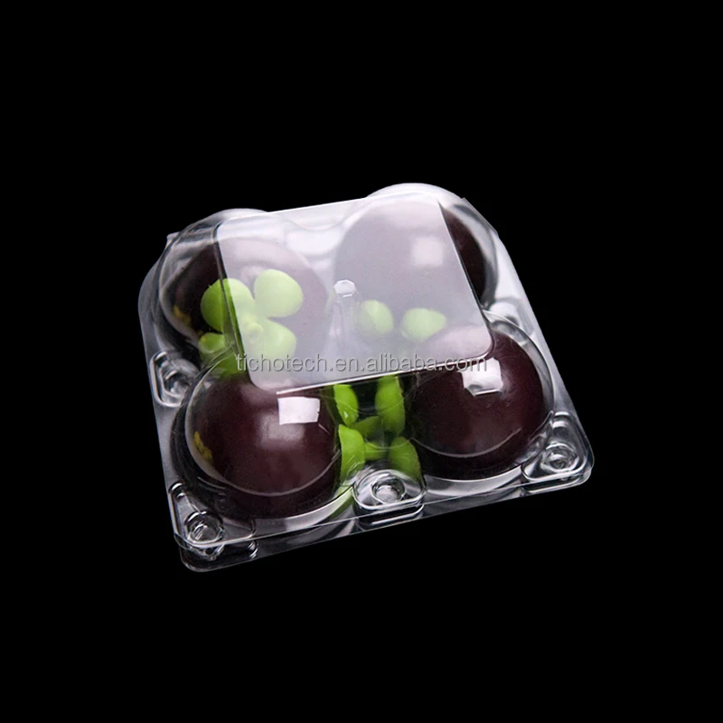 Customized PET Square Recycled Plastic Clamshell Fruit Packaging Containers for Mangosteen for Orange Strawberry Grape More