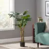 Green Color