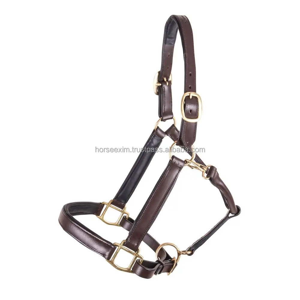 Rope & Leather Horse Halter \ Anatomic Leather Head Halter Leather