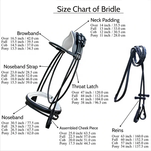Anatomical Crown Piece White Padded Broad Full Rolled Dressage Horse