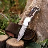Stag Horn