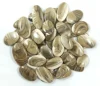 Gris, Vendu au poids (grammes), 12 à 14 pièces par 100g