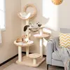 Beige1