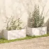 White Color