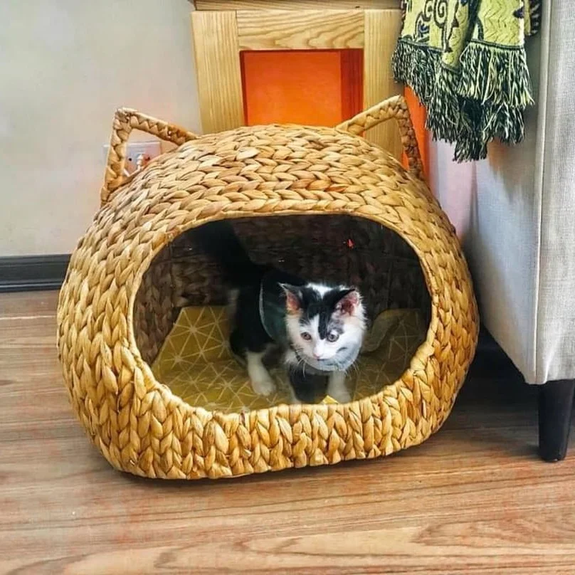 Jatmira Natural Cat Bed Straw Nest Woven Pet House Handmade Braided Cattail  Leaf with Soft Cushion 17 x 17 Inches