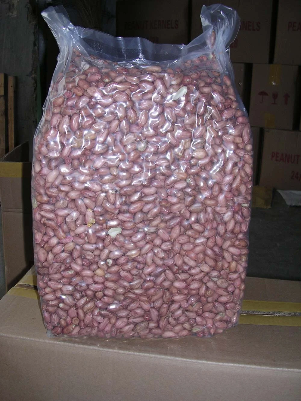 Hot Sale Premium Quality Indian Raw Groundnuts Peanuts Bold 40/50