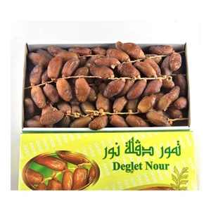 Ramzan Special Fresh Dates Dry Semi-dry and Soft Deglet Noor Deglet Noor Dates Tunisia Dates in Good Price