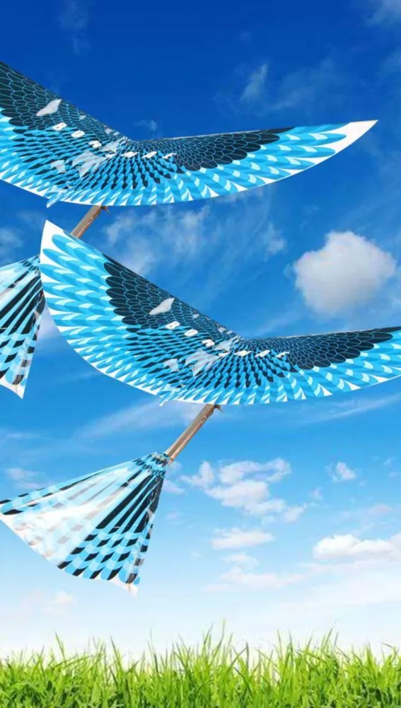 Flying Toy Plane,Rubber Band Powered Bird Slingshot Flying Toys Bird Kites// Buy Flying Bird