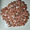 Comme sur l'image
