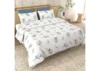 สีฟ้า