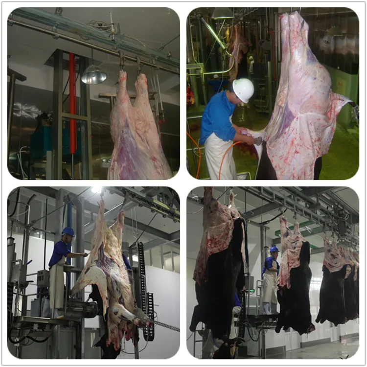 High-efficiency stainless steel carcass cleaning system for cattle slaughterhouses