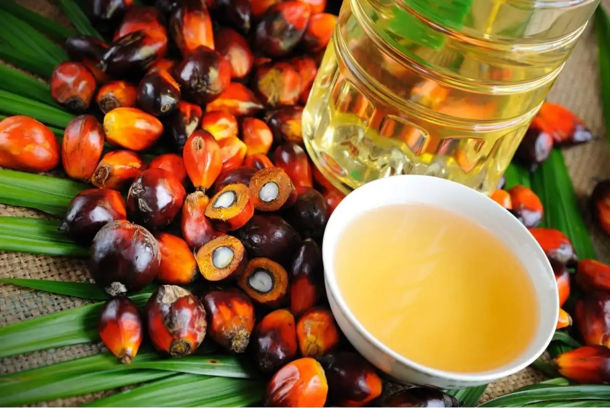 Wholesale Organic Refined High Quality Pure Palm Oil in Plastic Bottle & Bulk Drum for Cooking Factory Available Wholesale rate