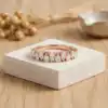กุหลาบต้นแมดเด