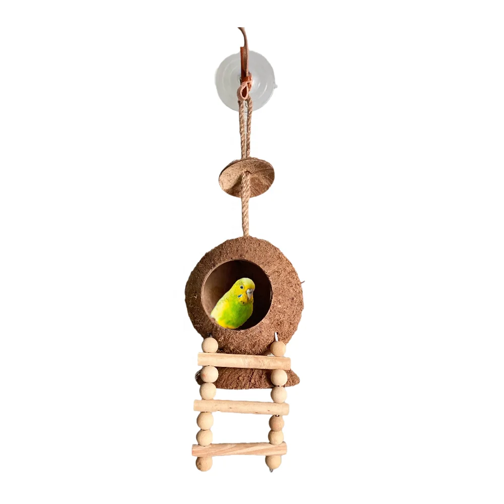 Oem/odm Coconut Shell Bird Feeder Bird Houses Pet Products Pet Supplies ...