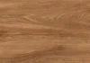ANTUNE BROWN (60*120)