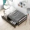 Espresso Color