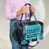 Turquoise & Black Checkered