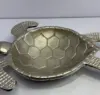 Champagne Nickel