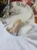 as per image