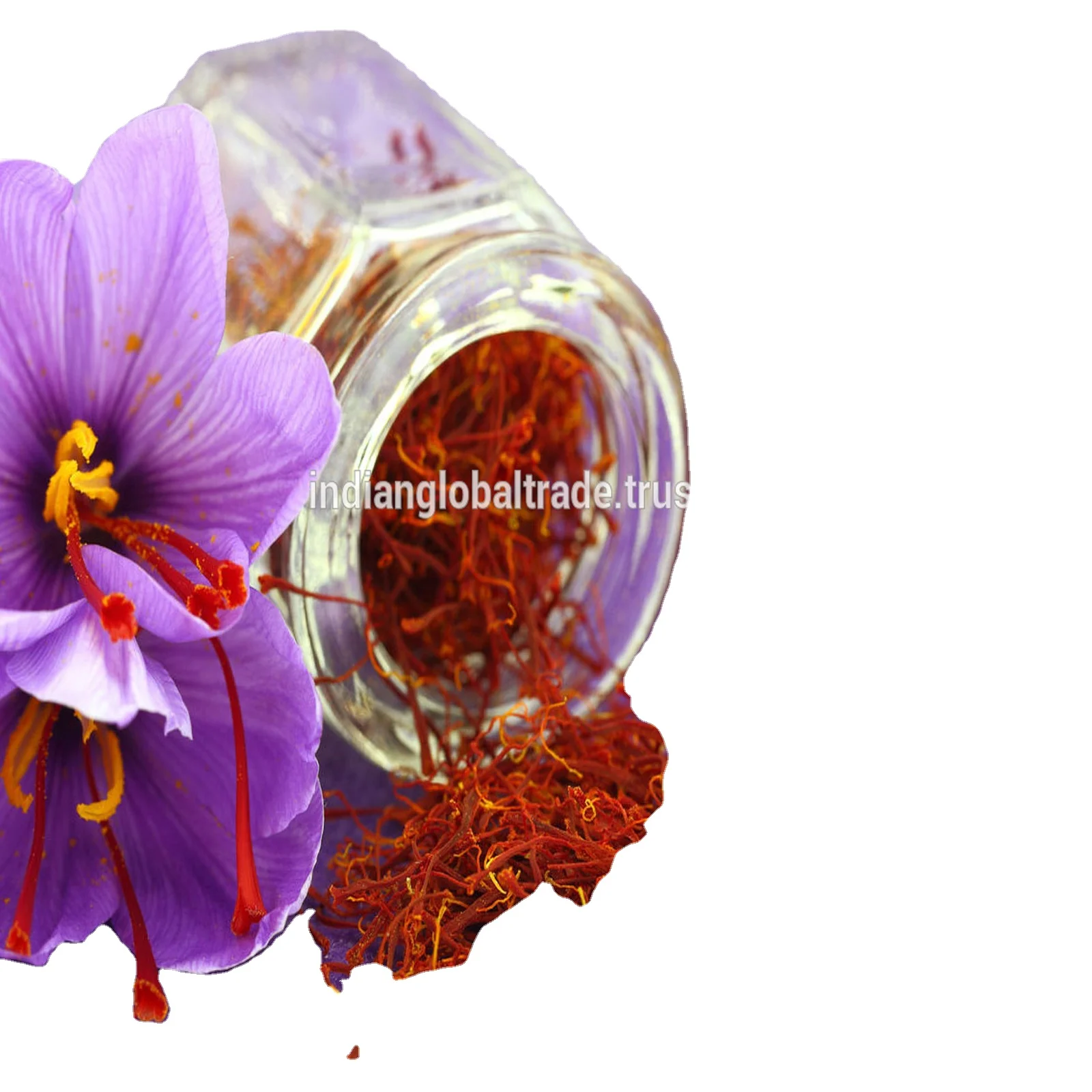 Premium Quallity Saffron From Kashmir Available Wholesale Saffron Helps During Pregnency And Digestion Buy Wholesale Saffron Saffron Price Saffron Wholesale Saffron 100 Pure Saffron Buyers Wholesale Saffron Kashmiri Saffron 1 Kg Saffron