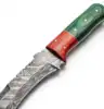 Segment de bois brun rougeâtre, bois vert vif