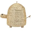 Como en la imagen