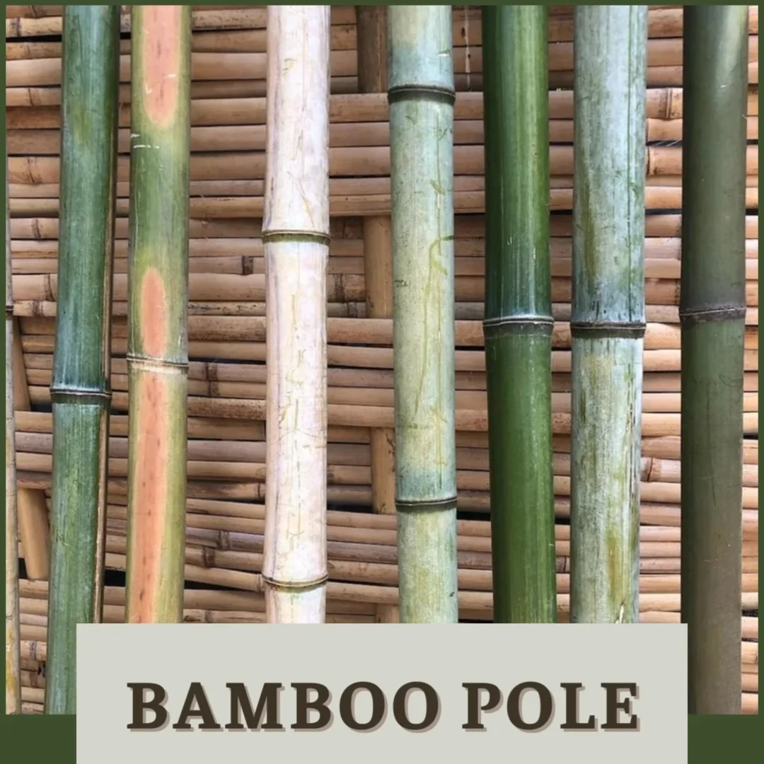 Vietnam High Quality Bamboo Poles For Construction Natural Gardening ...