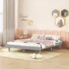 as Pic Color