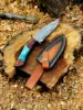 10: Total Length: 10 inches Blade Length: 5 inches