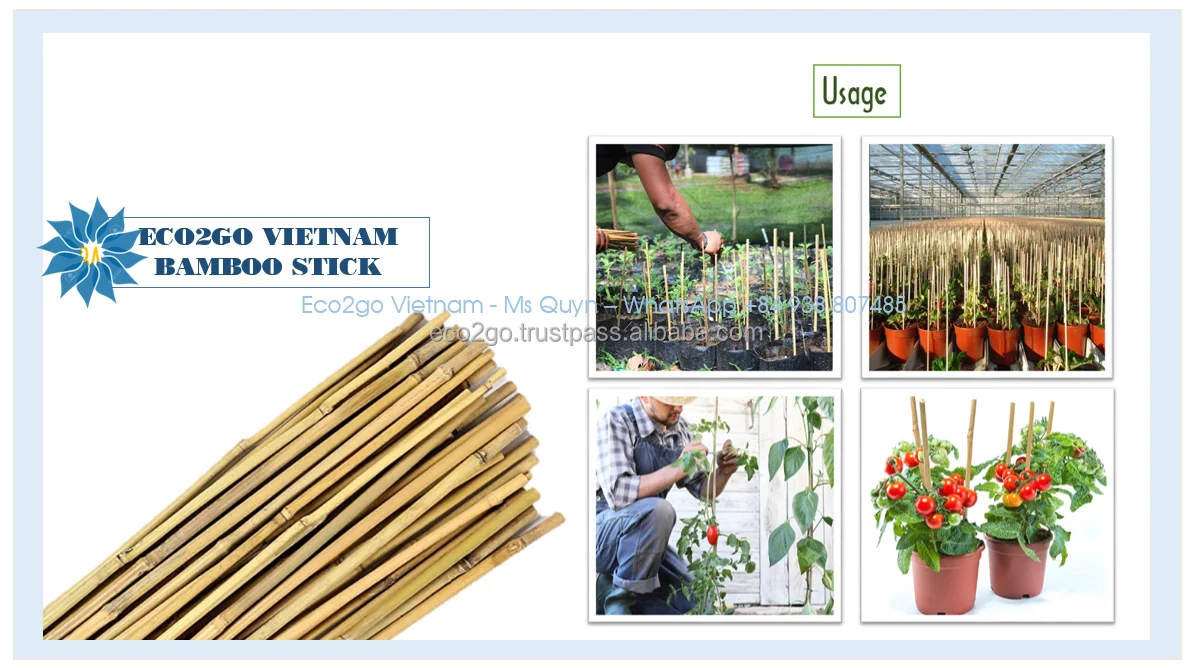 Best Selling Natural Bamboo Sticks/ Decorative Bamboo Sticks/ Bamboo