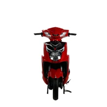 Adult Off-Road Electric Motorcycle Cheap 60V Voltage Electric Motorcycles