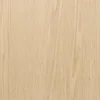 SW01-3100L