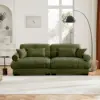Olive Green Color