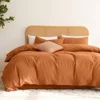 Cinnamon Clay